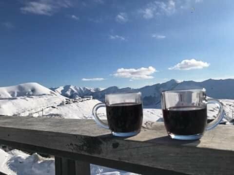 Gudauri Ski Studio Luaran gambar